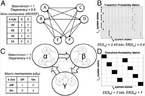 量化因果涌现表明 宏观可以战胜微观