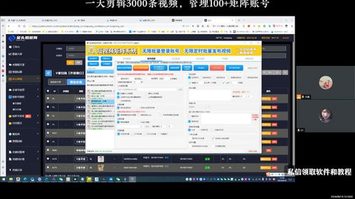 呆头鹅矩阵系统 账号发布的详细指南